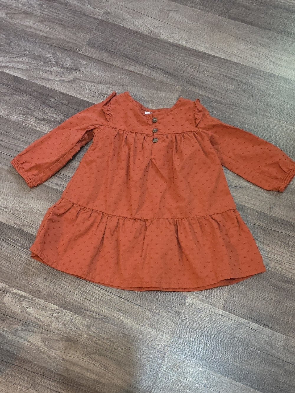 Carter's Rust Orange Swiss Dot Tiered Long Sleeve Dress